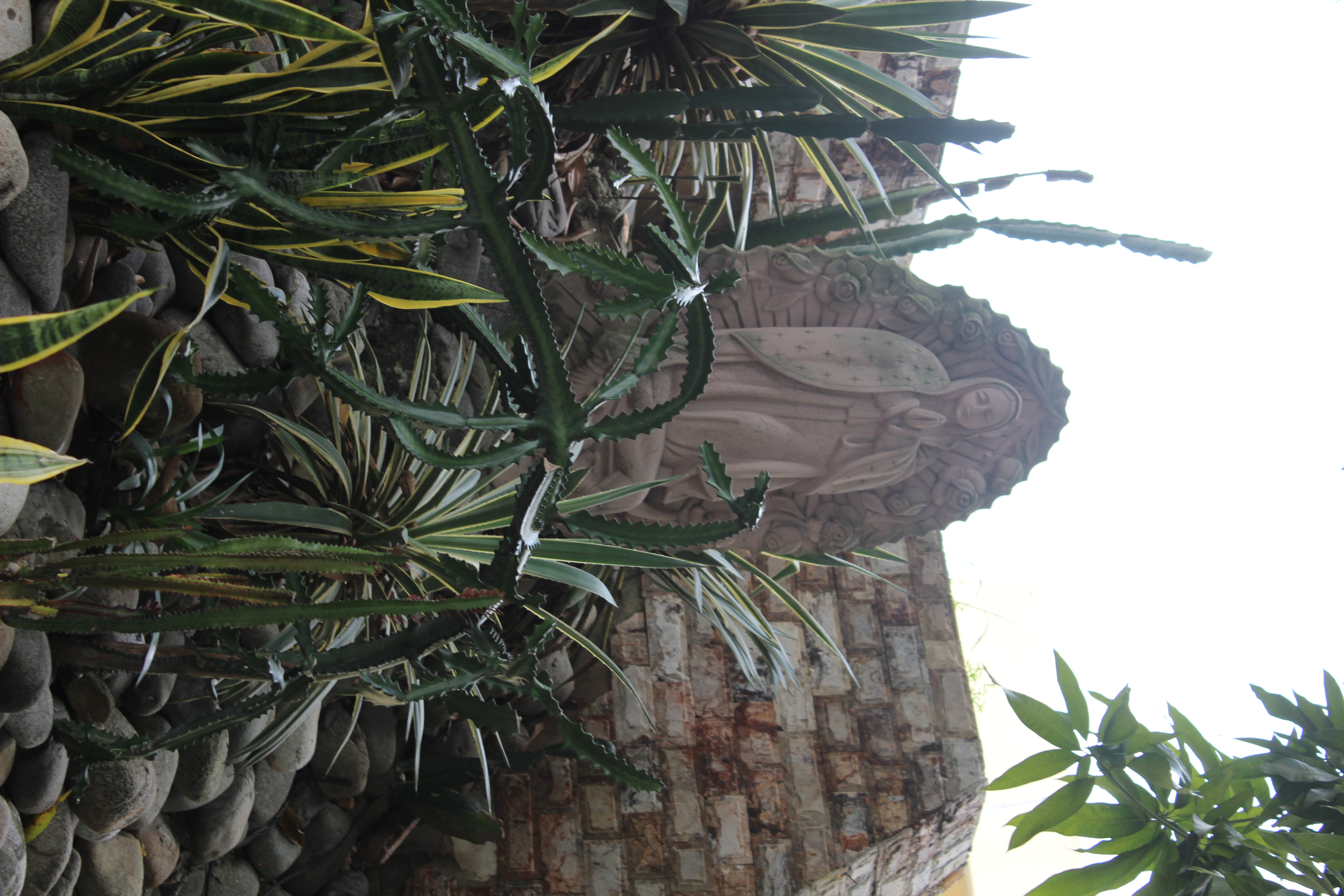 Servicios Psicopedagógicos