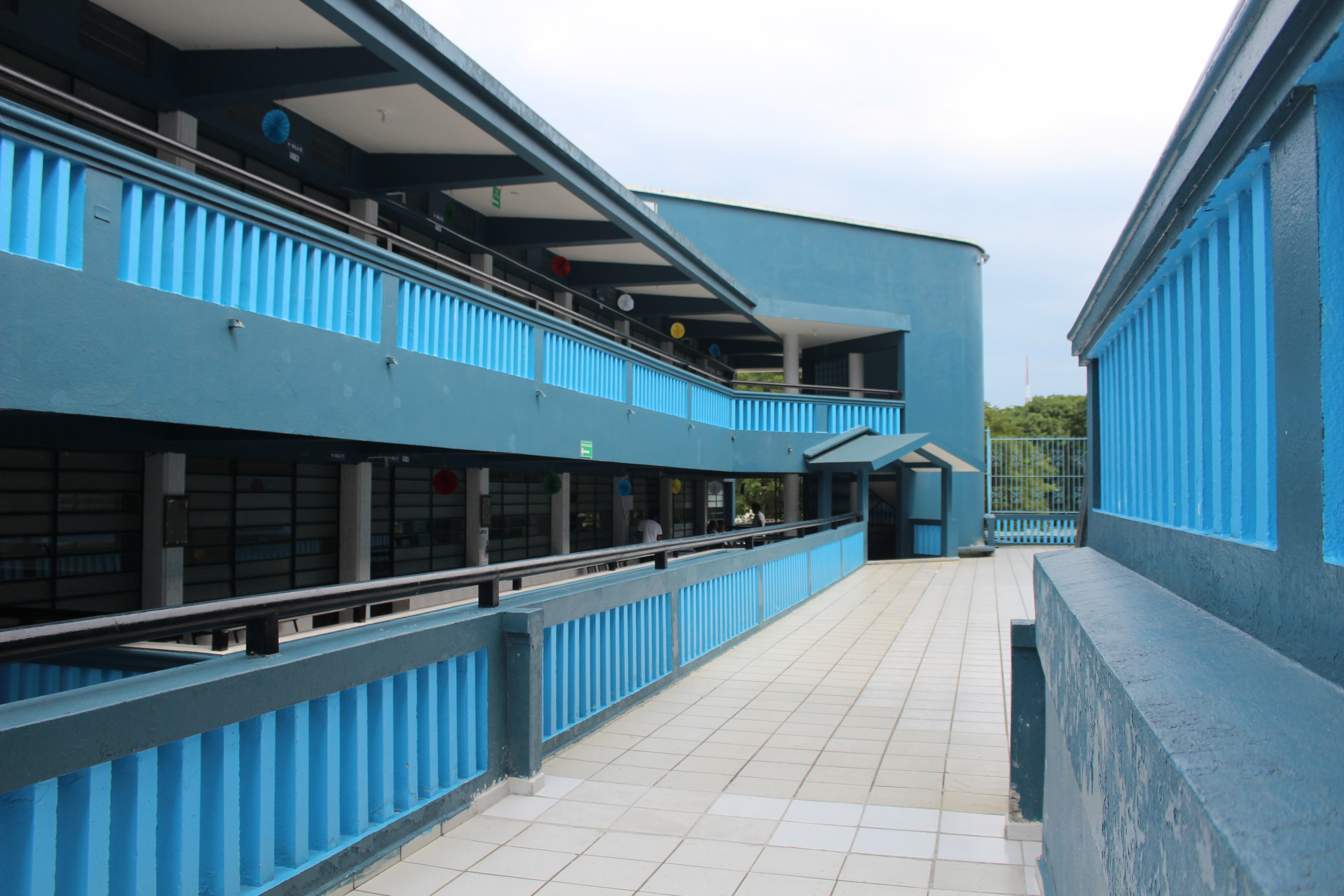 Expresión y Apreciación Artística